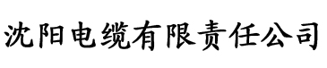 泡泡社区app电缆厂logo